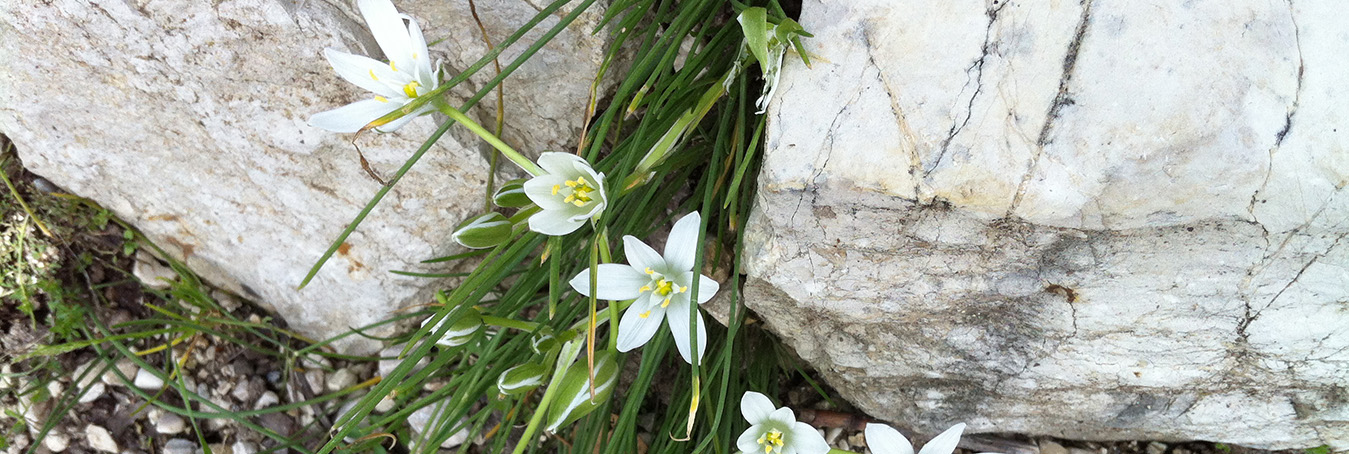 Body Psychotherapy Cambridge