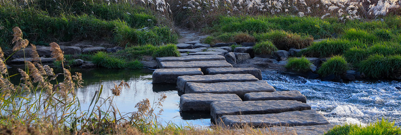 Body Psychotherapist